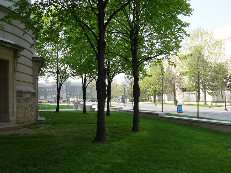 SF Bld in UofT (1)