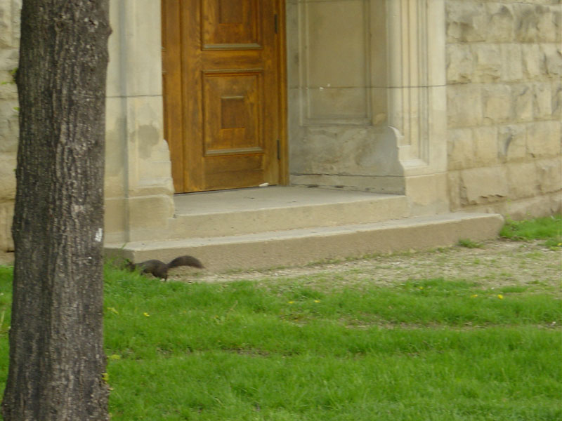 SF Bld in UofT (2)