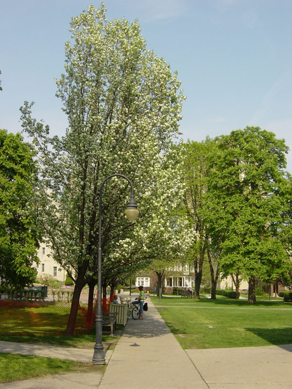 UofT Camp (2)